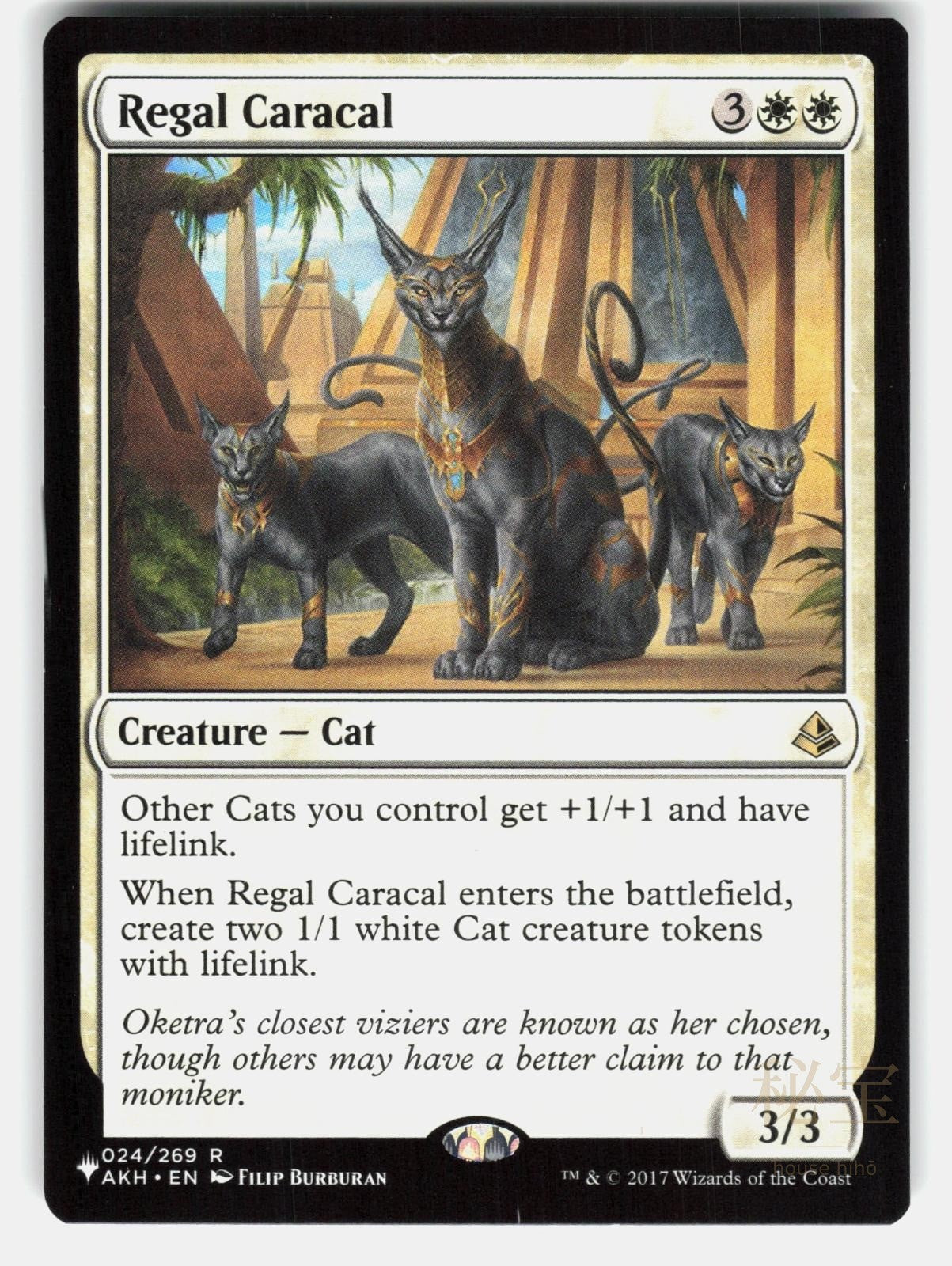 REGAL CARACAL   Magic: The Gathering   BURBURAN NM/M0