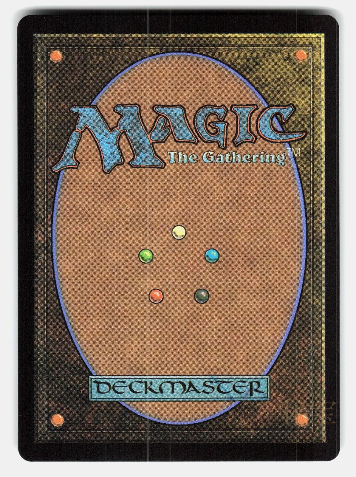 YOUTHFUL VALKYRIE   Magic: The Gathering Japanese   PODEDWORNA NM/M1