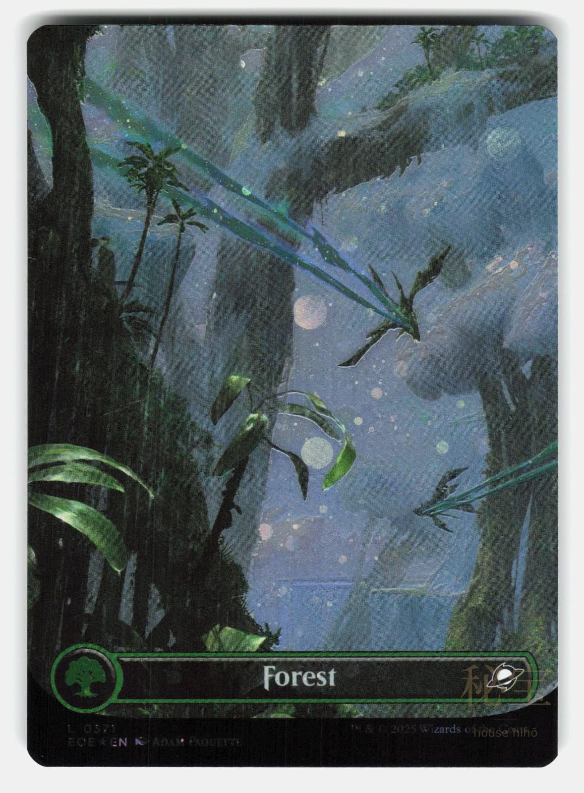 FOREST (0371) (BORDERLESS) (GALAXY FOIL)   Magic: The Gathering   PAQUETTE NM/M0