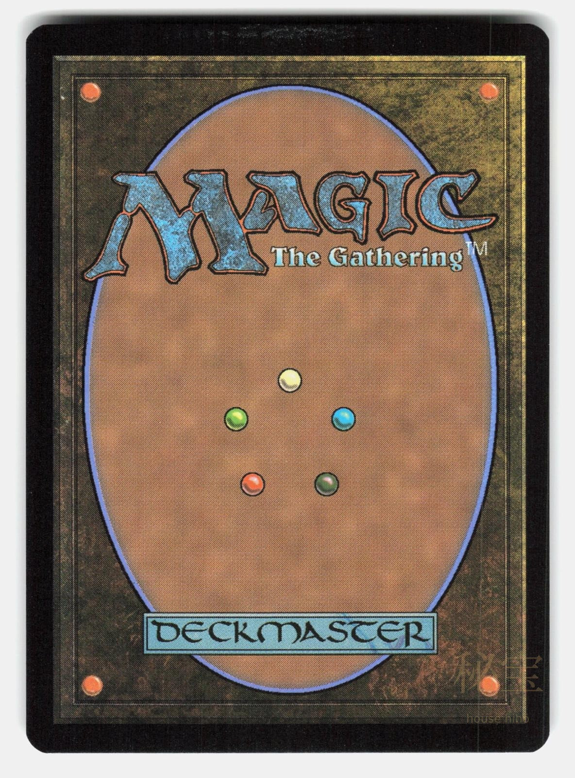 GRAVE RESEARCHER (EXTENDED ART)   Magic: The Gathering   IZZY NM/M1