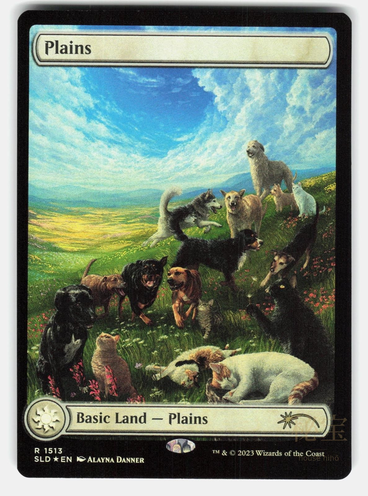 PLAINS (1513) FOIL   Magic: The Gathering   DANNER NM/M0