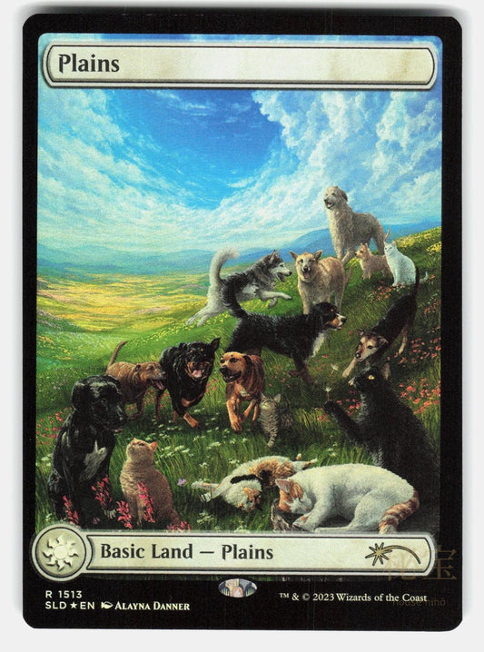 PLAINS (1513) FOIL - Magic: The Gathering - DANNER NM/M0