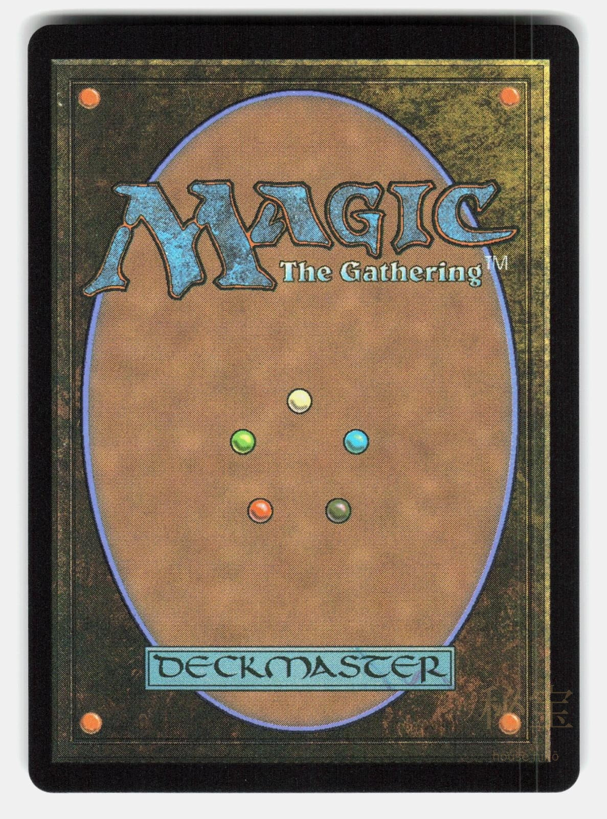 VIVI ORNITIER ( BORDERLESS ) ( CHOCOBO TRACK FOIL )   MTG   RYANRORO NM/M1