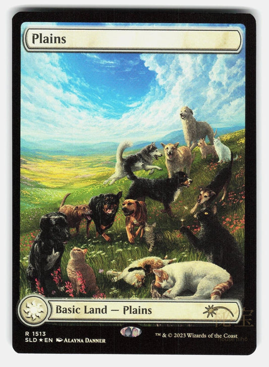 PLAINS (1513) FOIL - Magic: The Gathering - DANNER NM/M0