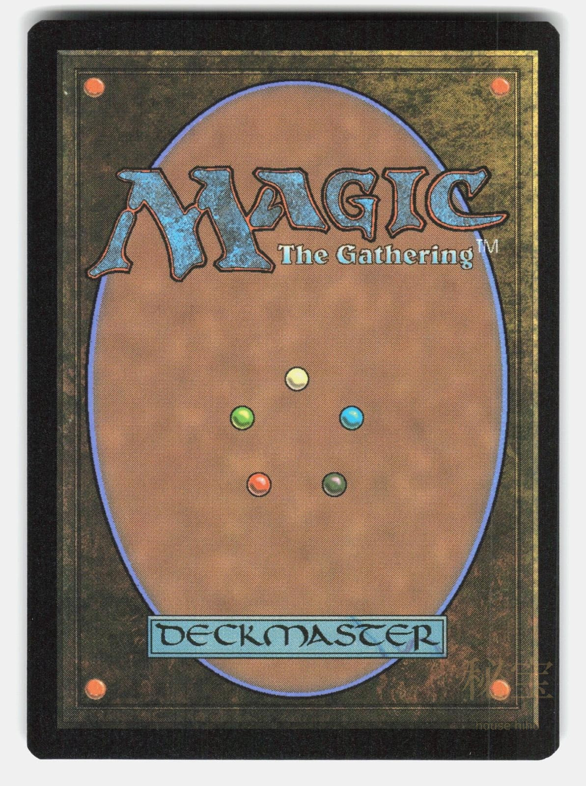 STORMCARVED COAST FOIL   Magic: The Gathering   TUKKER NM/M1