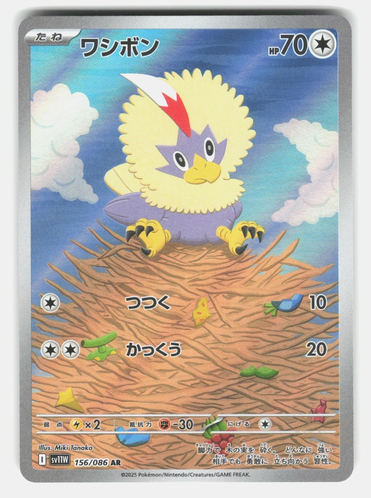 RUFFLET SV11W 156/086   Pokemon Japanese   2025 NM/M0