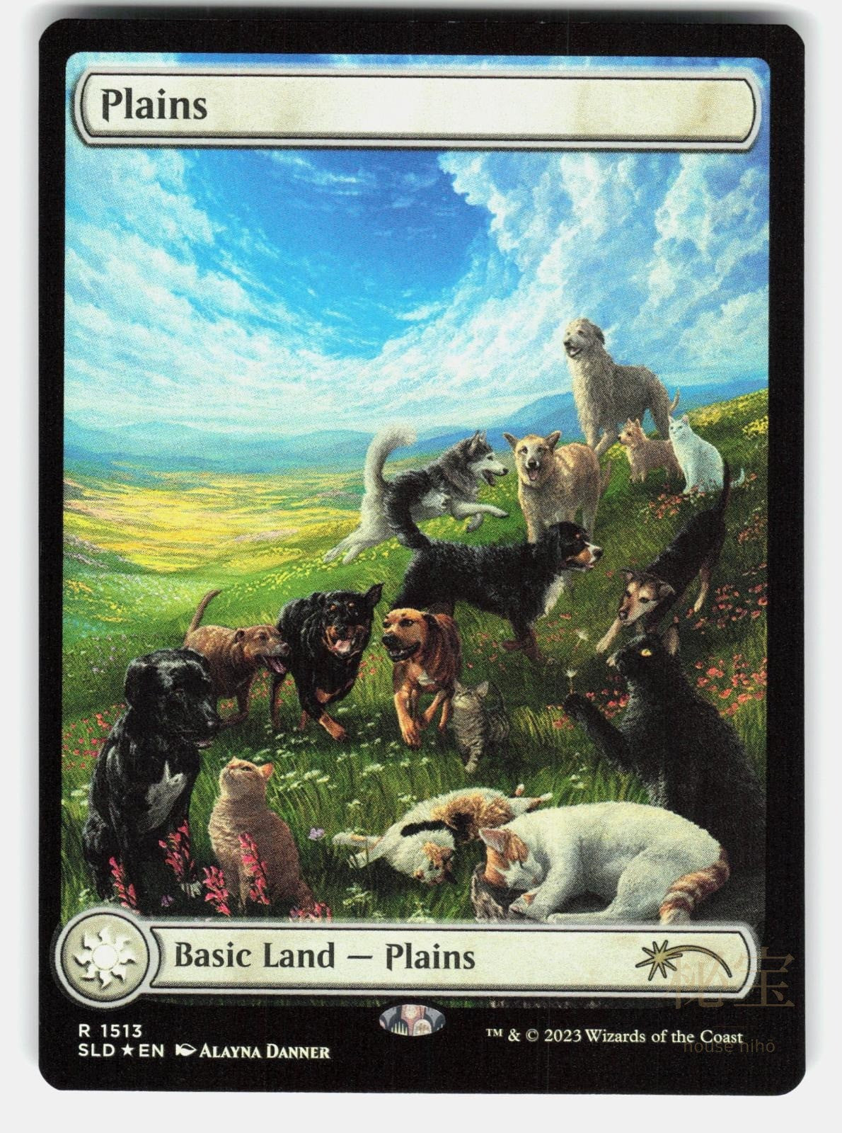 PLAINS (1513) FOIL - Magic: The Gathering - DANNER NM/M0